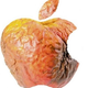 Illustration for article titled Apple... you suck.